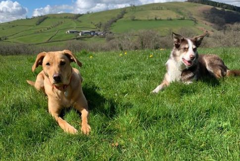 Brecon Casa | Ty Glo Cottage