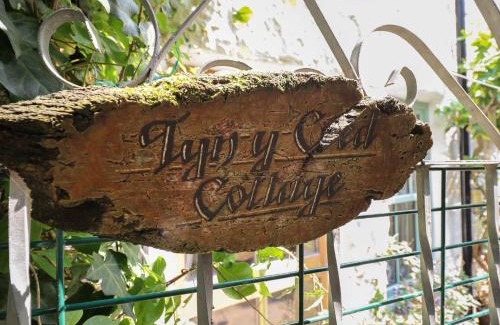 Barmouth Casa | Tyn Y Coed Cottage