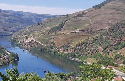 Bomfim Casa | Typical house in the heart of the Douro