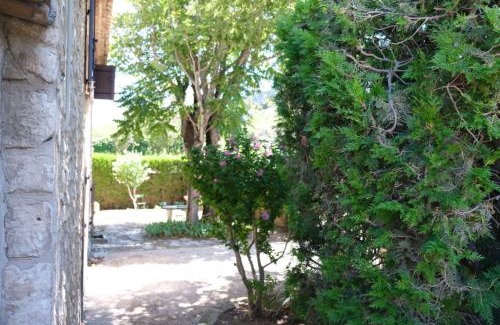 Mouries Casa | typical mas provençal with swimming pool in a small hamlet near mouriès in the alpilles in provence- 8 persons