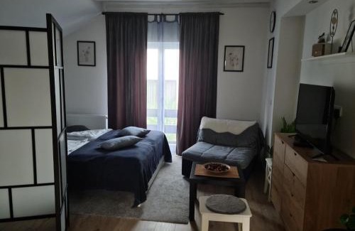 Cajetina Apartamento | Ušuškani Studio