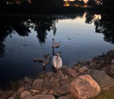 Panevezys county Apartamento | Už Karvelius - Sodyba Biržų mieste