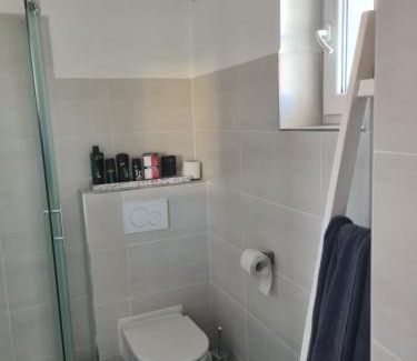 Velke Losiny Apartamento | U-Aldy