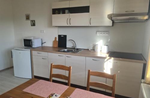 Velke Losiny Apartamento | U-Aldy