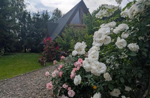 Gorlice Chalet De Esquí | U Leona