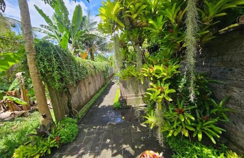 Kedewatan Casa | UBUD in PARADISE THE HONEYMOON PRIVATE VILLA IN Ubud-Bali