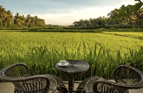 Lodtunduh Villa | Descansa en verdadero lujo con impresionantes vistas al campo de arroz