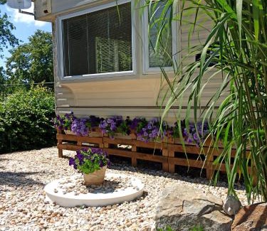 Kosin Casa | Ubytování Levandule