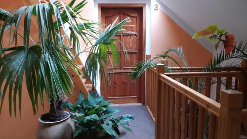 Telc Casa | ubytování U Šeniglů