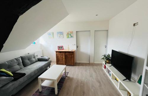Hlinsko Apartamento | Ubytování v podkroví - Hlinsko.