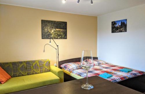 Uherske Hradiste Apartamento | Ubytování ve Vinařství Medek | Medek House & Winery