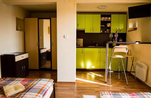 Uherske Hradiste Apartamento | Ubytování ve Vinařství Medek | Medek House & Winery