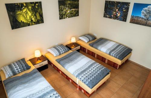 Uherske Hradiste Apartamento | Ubytování ve Vinařství Medek | Medek House & Winery