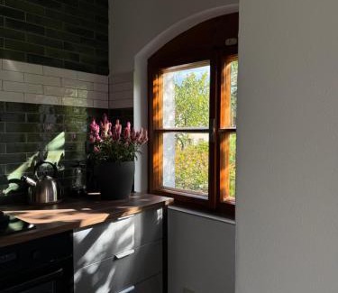 Velke Bilovice Apartamento | Ubytování ve vinném sklepě - Velké Bílovice
