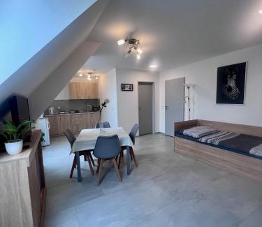 Olomouc Apartamento | Ubytování Zátiší Olomouc