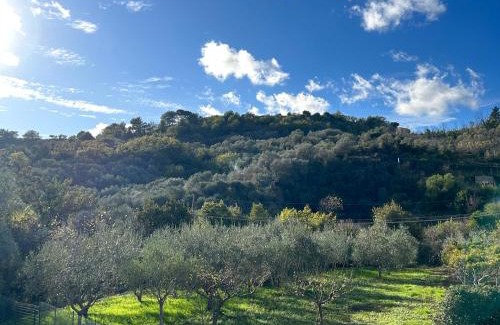 Imperia Apartamento | ULIVI - Comodità e tranquillità con Patio e Parcheggio