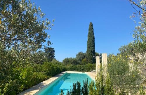 L'Assunta Casa | Ulivo