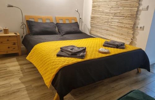 Bistrita Apartamento | Ultracentral Garage studio