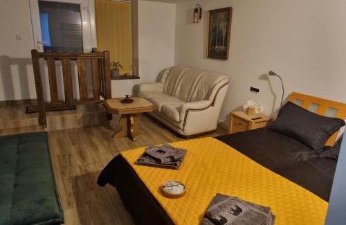 Bistrita Apartamento | Ultracentral Garage studio