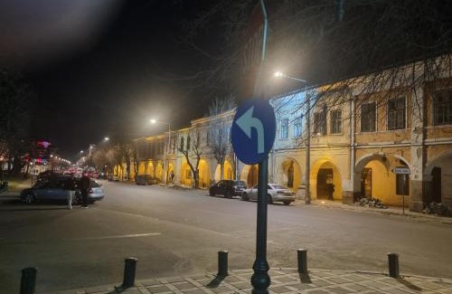 Bistrita Apartamento | Ultracentral Garage studio