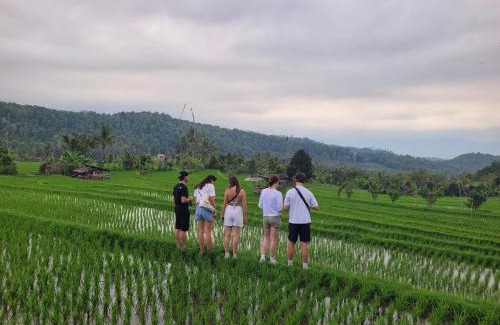 Munduk Casa | Umah Yugadi Bali