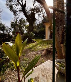 Pieve Ligure Casa | Un Angolo di Paradiso
