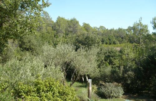 Cabasse Casa | Un Cabanon en Provence
