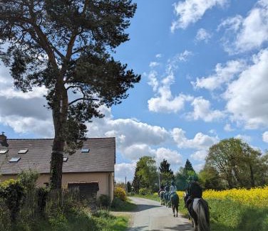 Cardroc Casa | Un cadre fleuri