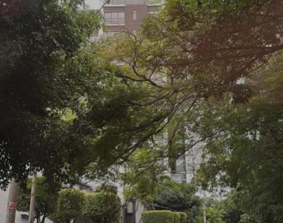 San Salvador Apartamento | Un lugar especial en San Salvador