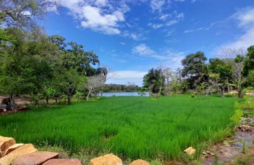 Yodakandiya Casa | Unawa Retreat