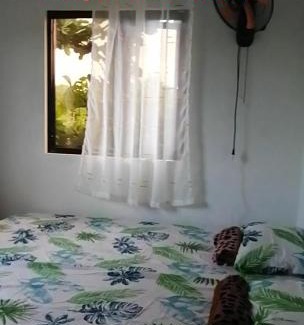 Luna Cama Y Desayuno | Uncle Bob&Tere Beachfront House