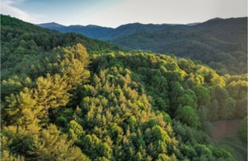Valle Crucis Cabina | Uncle Earl's Haven at Heritage Hill!