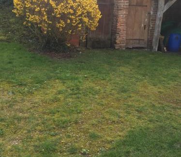 La Ferte-Beauharnais Casa | Une maisonnette au cœur de la Sologne des étangs