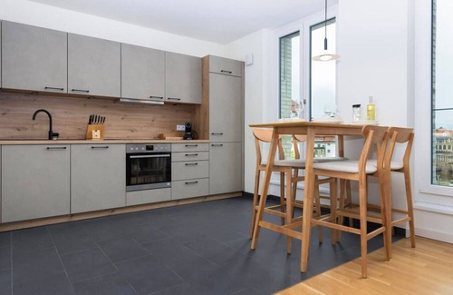 Innere Vorstadt Apartamento | UNiQE Apartments 2R 65m2 | city center+free parking