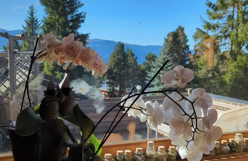 Bolquere Chalet De Esquí | Casa de montaña (madera / piedra) - Bolquère