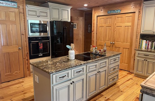 Townville Cabina | Unique lakefront 3 BR cabin directly on Lake Hartwell! 20 min drive to Clemson!