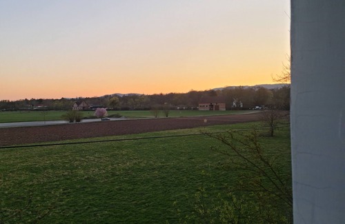 Unterneustadt Apartamento | Unique Modern Nature Oasis in the City Center