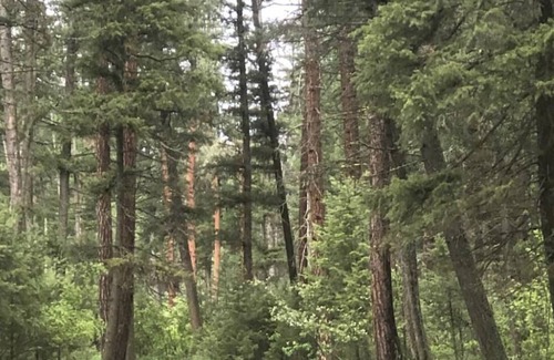 Huson Casa | Unique Montana Adventure