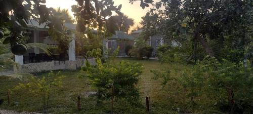 Sanyang Casa | Unique Owl Apartments