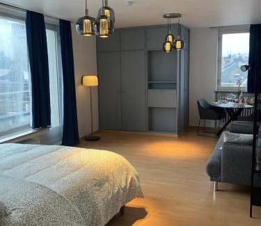 Ville Haute Apartamento | Unique Penthouse Joseph II von Habsburg 1-4 personnes à coté de Louis Vuitton