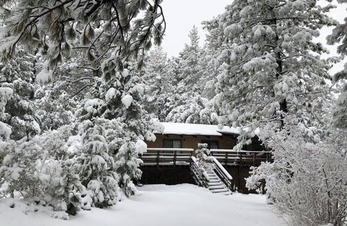 Pine Mountain Club Cabina | Unique private Forest mountain Getaway