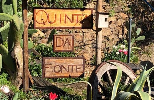 Figueiro dos Vinhos Otro | Unique Tiny House with Natural Building Techniques