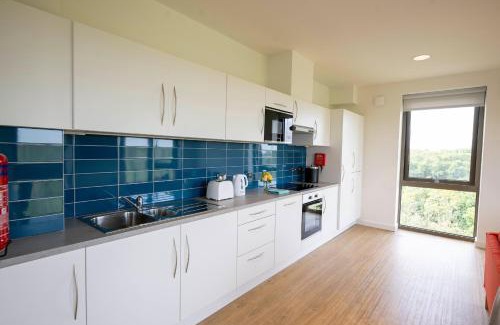 Dangan Apartamento | University of Galway Apartments