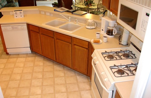 Orange Tree Casa | Unoverlooked and peaceful- Luxury Disney Villa 4Bed / 3Bath - Vistas de conservación