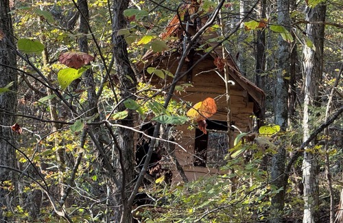 South Pittsburg Cabina | Unplug and hide from the world in this rustic South Pittsburg cabin