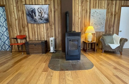 Gleason Cabina | Unplug from it all at a lovely 2-bedroom cabin nestled in the woods!