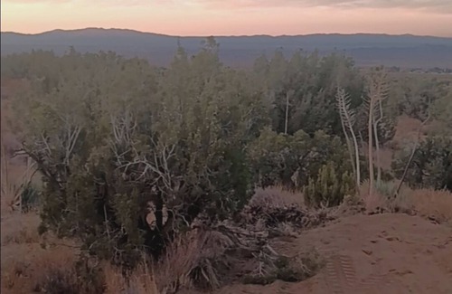 Llano Casa | Unplug & Reconnect: Desert Oasis Camper Retreat!
