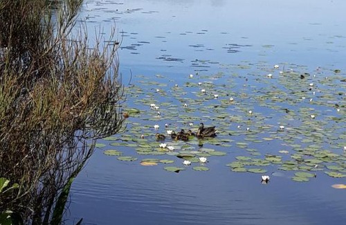 Skanes Fagerhult Apartamento | Unterkunft am See