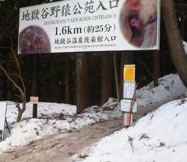 Yudanaka Shibu Onsen Hotel | Uotoshi Ryokan