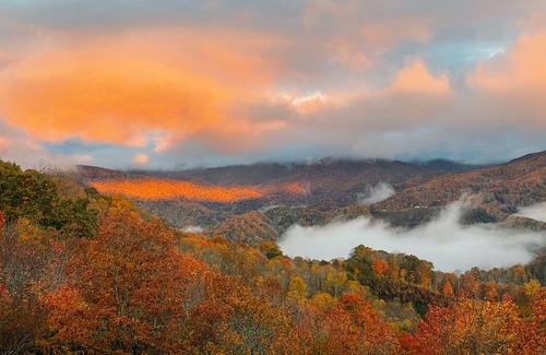 Frank Cabina | Up In Here Mountain House- summer specials!